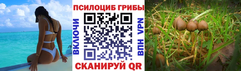 Галлюциногенные грибы MAGIC MUSHROOMS  гидра зеркало  Воткинск 