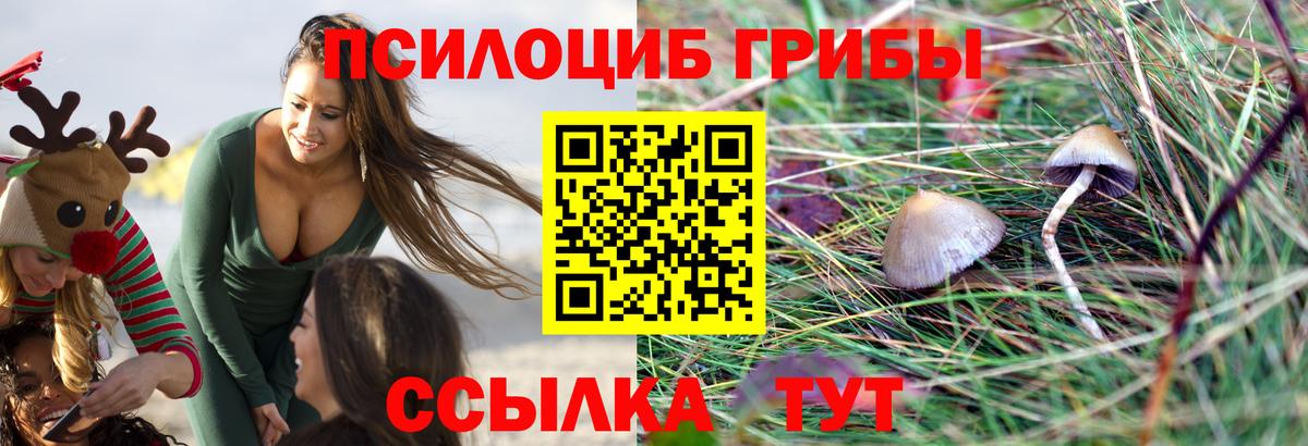 Воткинск  Псилоцибиновые грибы мухоморы  Вход с VPN 